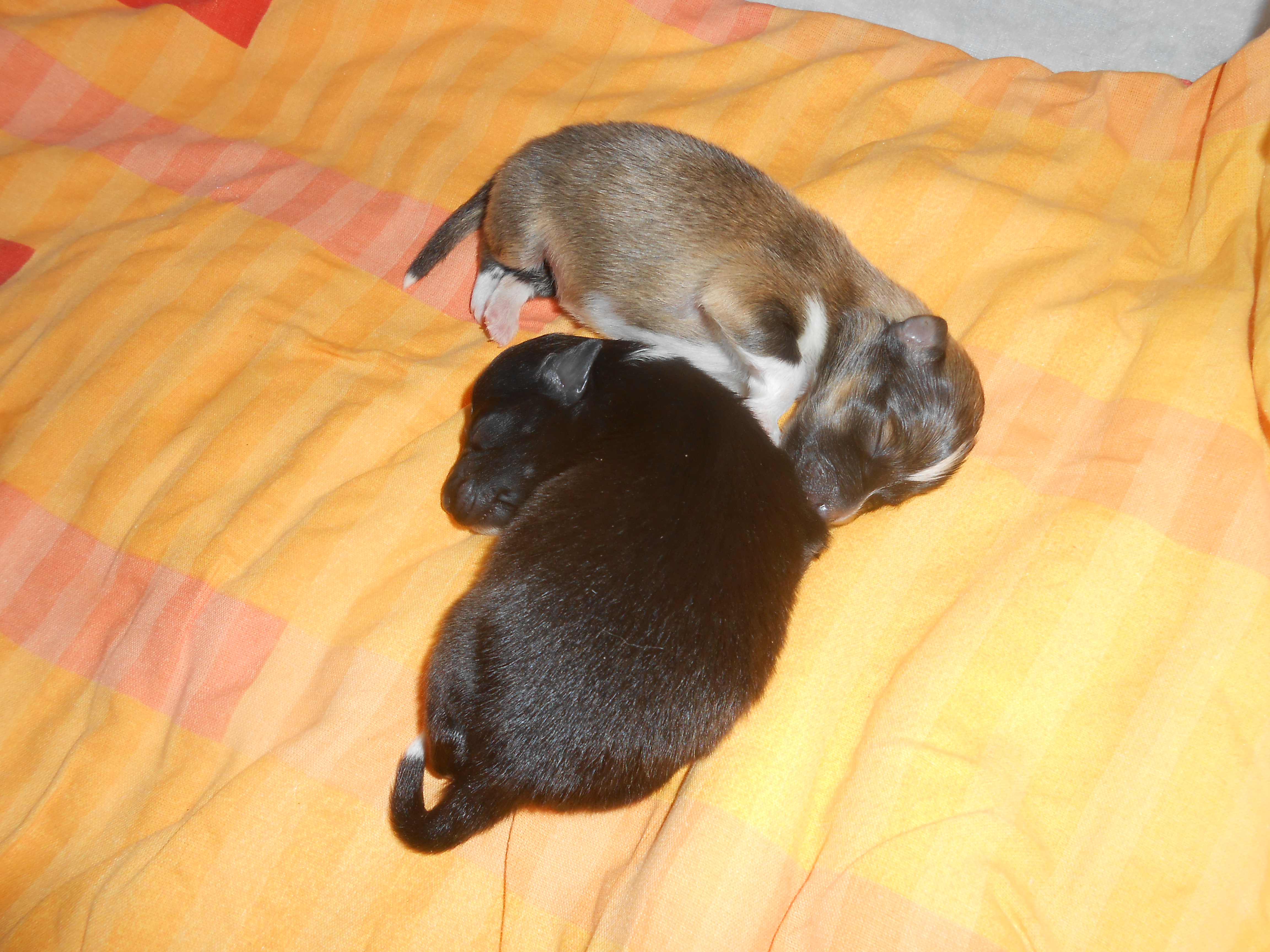 DSCN8058
