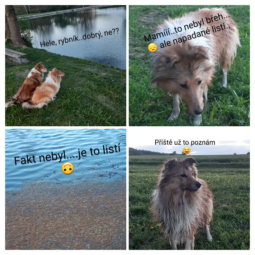Hastrmanka