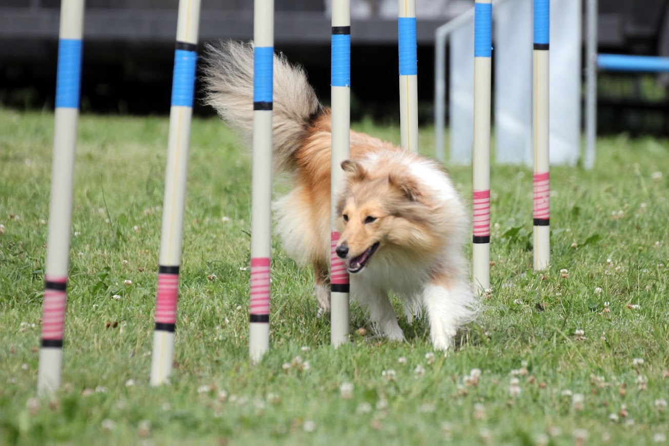 slalom