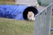 tunel